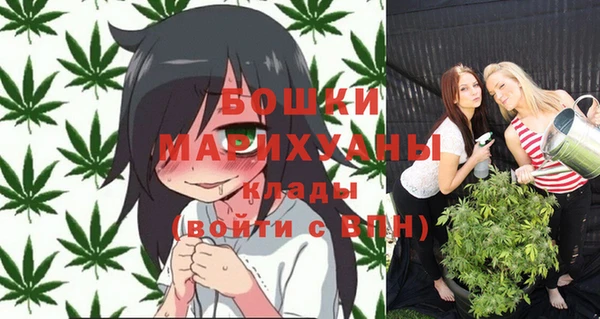 каннабис Богданович